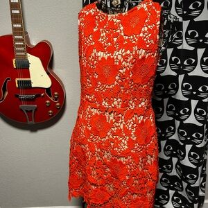 ECI illusion lace dress